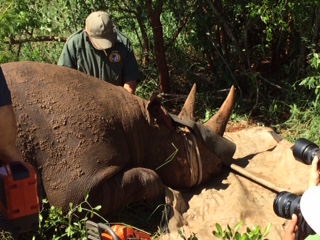 As Wild As – South African Dinner and Talk – Tuesday 2nd May