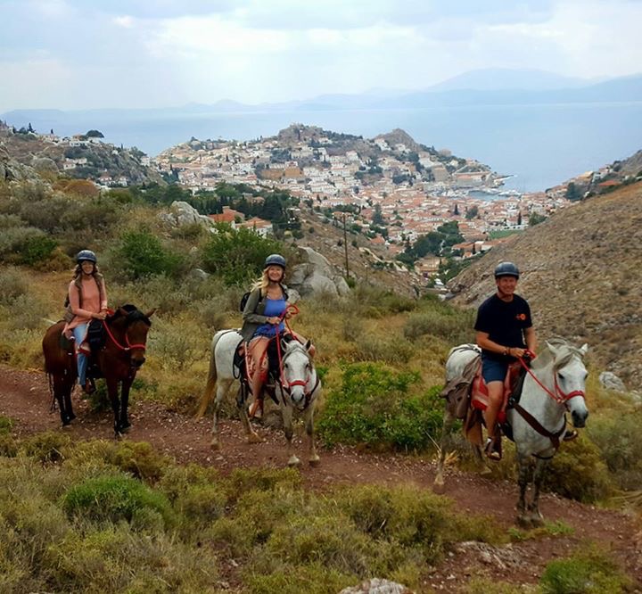 As Wild As – An experience with Harriets Hydra Horses